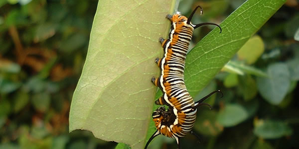 手机版ddos攻击器